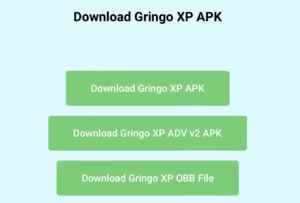 Gringo Xp V V V V V Mod Menu Apk Update